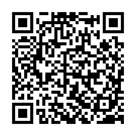 QR code for ABJ381