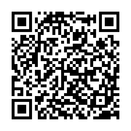 QR code for ABJ383