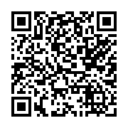 QR code for ABT295