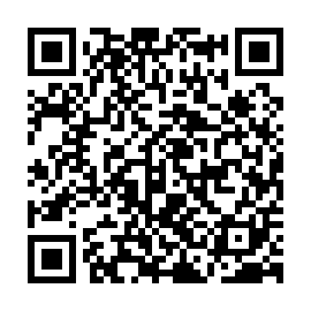 QR code for ACE101