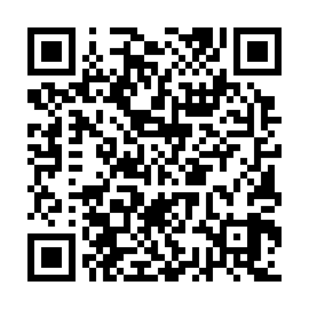 QR code for ACE309