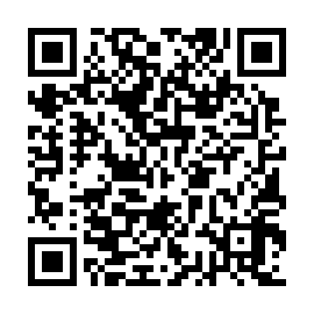 QR code for ACE318
