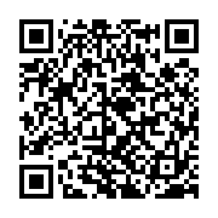 QR code for ACE533