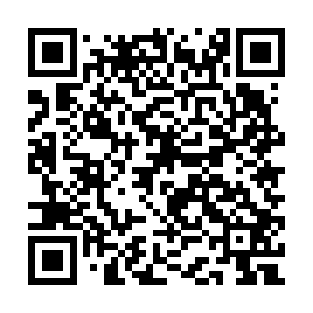 QR code for ACE602