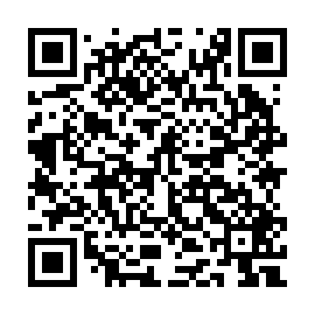 QR code for ADI249
