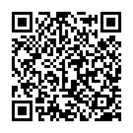 QR code for ADN489