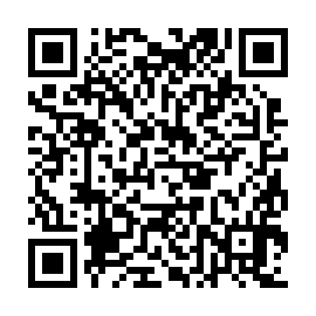 QR code for ADS294