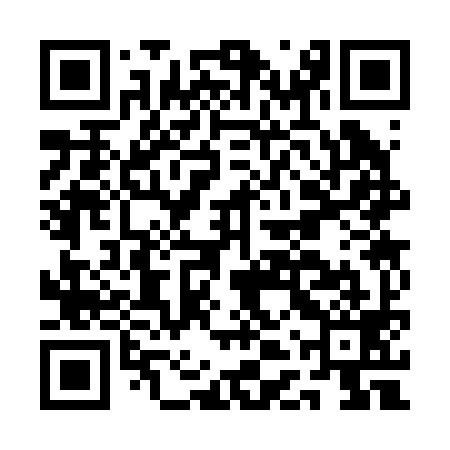 QR code for ADS299