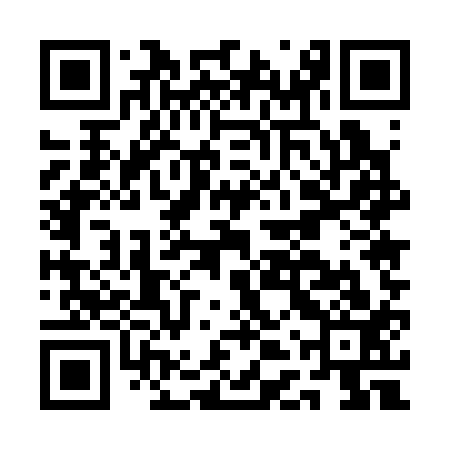 QR code for ADU313