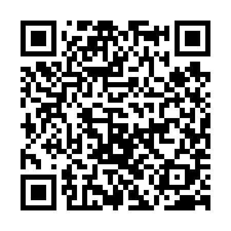 QR code for AEE689