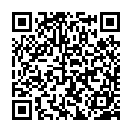 QR code for AER265