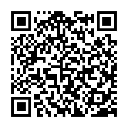 QR code for AER338