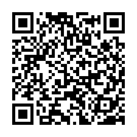 QR code for AGU378