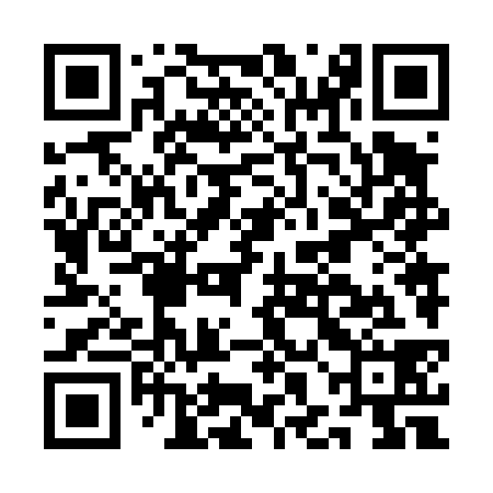 QR code for AHN438