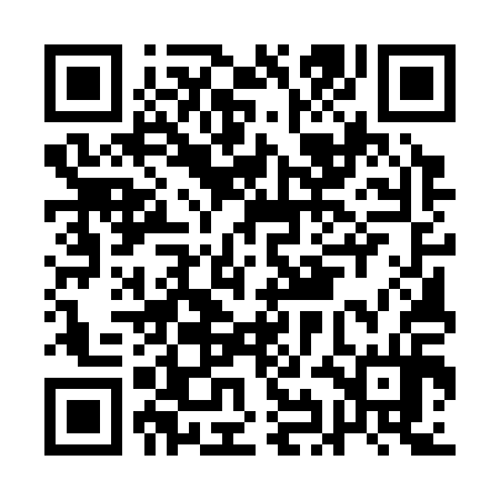 QR code for AIE314
