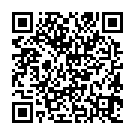 QR code for AIE381