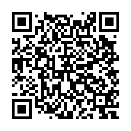 QR code for AIG011