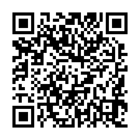QR code for ALI293