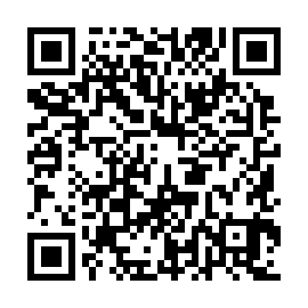 QR code for ALI381