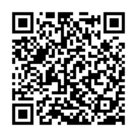 QR code for ALS919