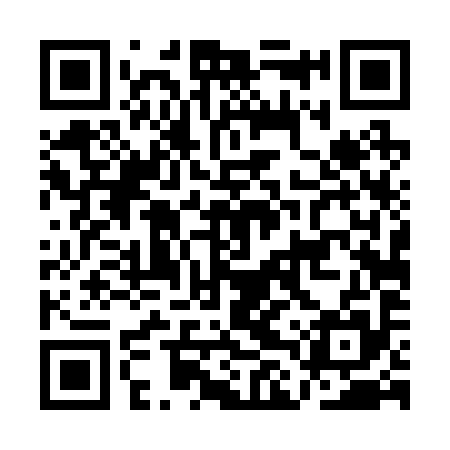 QR code for ALT295