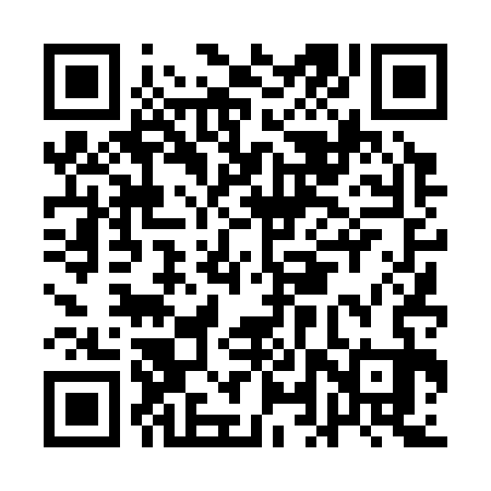 QR code for ALT333
