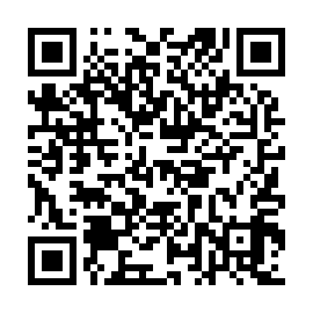 QR code for ALT919
