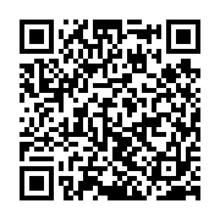 QR code for ALU613