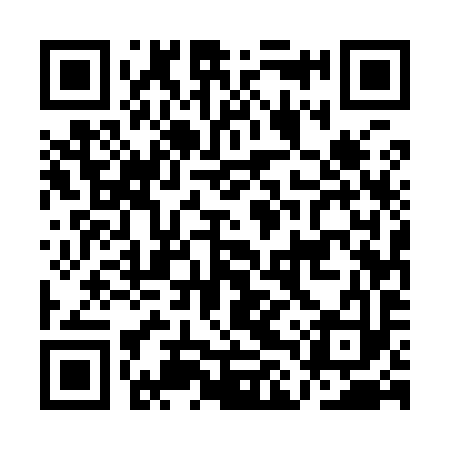QR code for ALU993