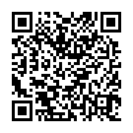 QR code for ALV300