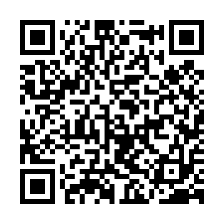 QR code for ALV413