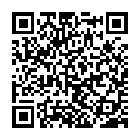 QR code for ALV999