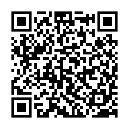 QR code for ALY295