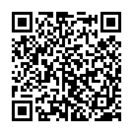 QR code for ALY493