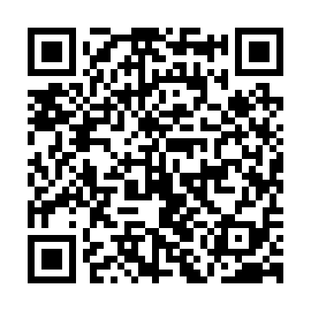 QR code for AMI219