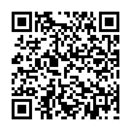 QR code for AML381