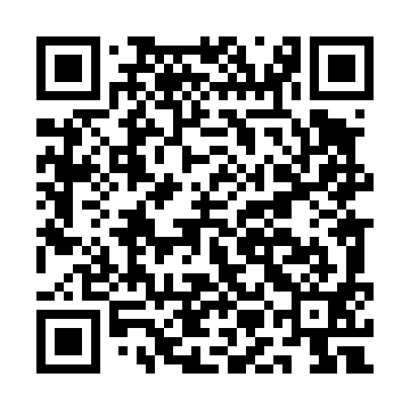 QR code for AML491