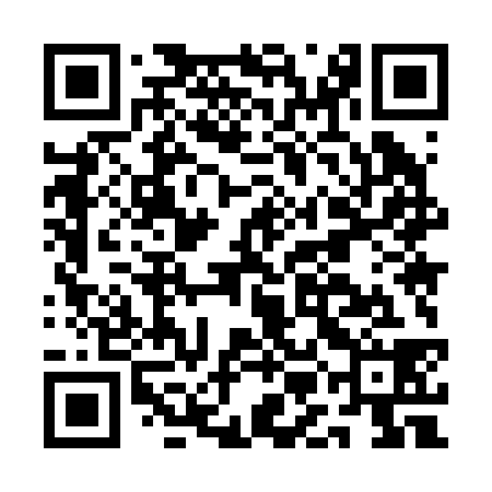QR code for AMM238