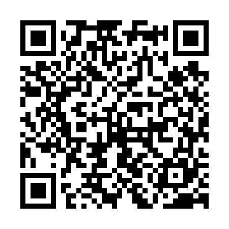 QR code for AMM665