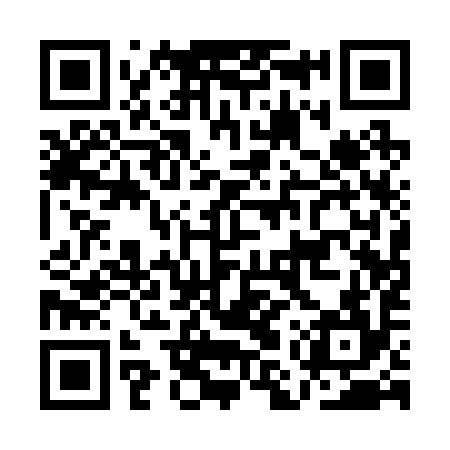QR code for AMQ294