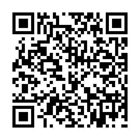 QR code for ANE393