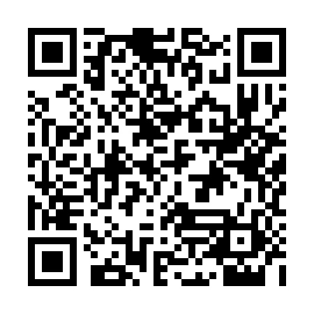 QR code for ANI382