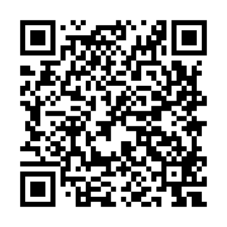 QR code for ANI989