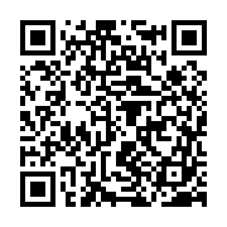 QR code for ANK163