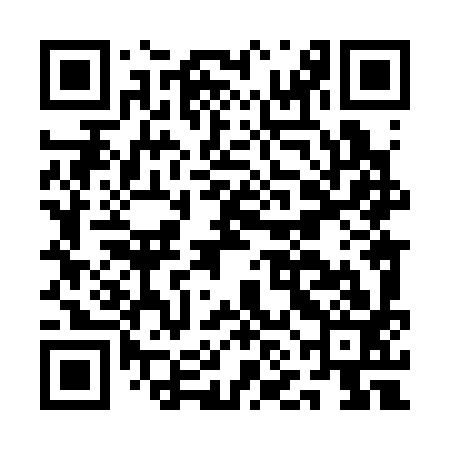 QR code for ANL393