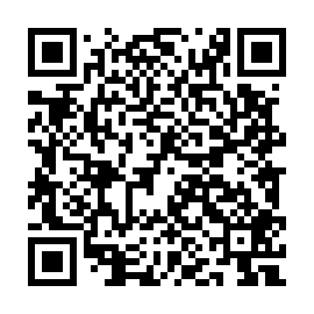 QR code for ANL509