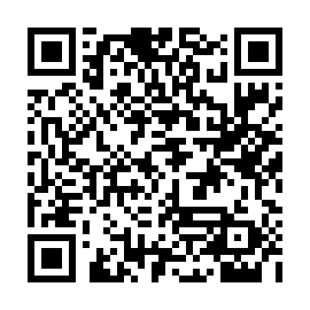 QR code for ANL699