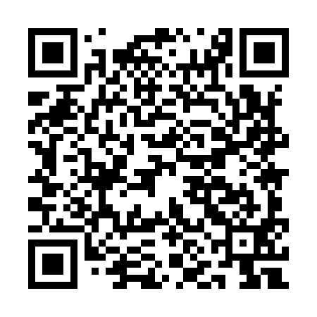 QR code for ANM991