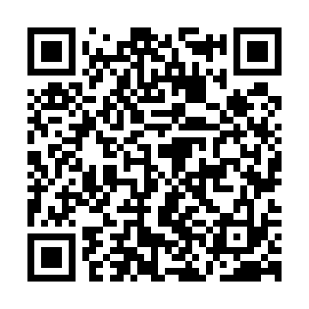 QR code for ANN533
