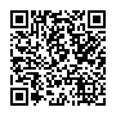 QR code for ANP339